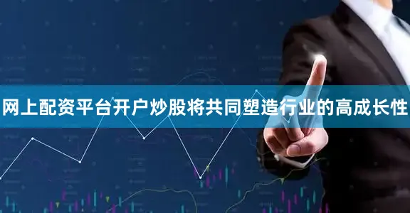 网上配资平台开户炒股将共同塑造行业的高成长性