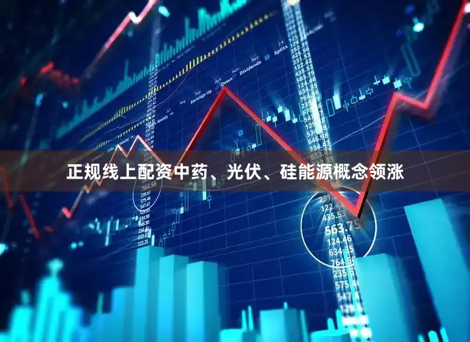 正规线上配资中药、光伏、硅能源概念领涨