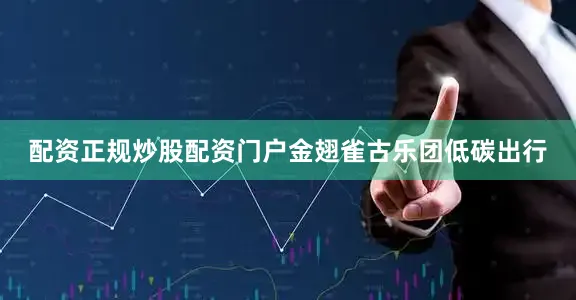 配资正规炒股配资门户金翅雀古乐团低碳出行